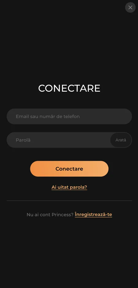 Form di accesso Princess Casino con email e password